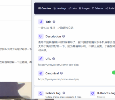 Detailed SEO Extension