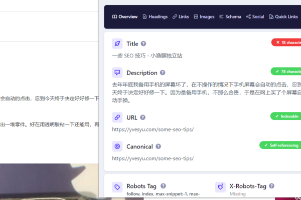 Detailed SEO Extension