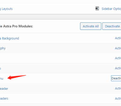 how-to-set-mega-menu-in-astra-theme