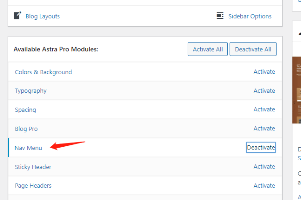 how-to-set-mega-menu-in-astra-theme