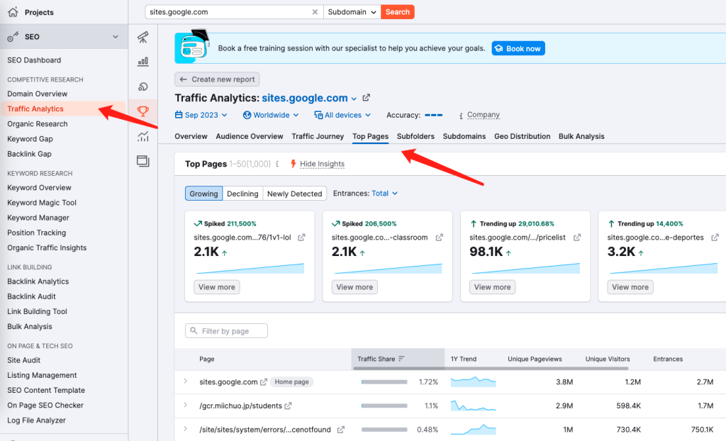 利用 Google Sites 进行调研 1 二级域名